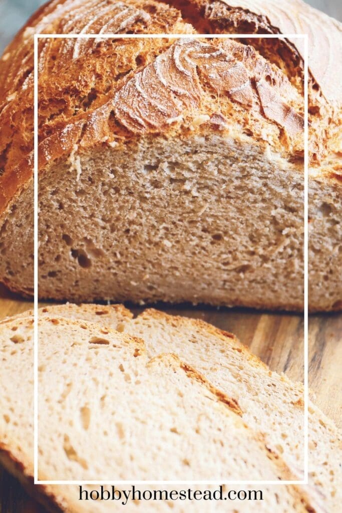 Sliced Whole Wheat Sourdough Bread Loaf