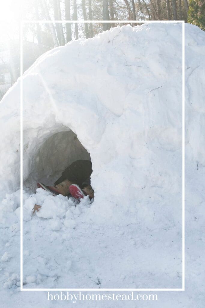 Snow Shelter