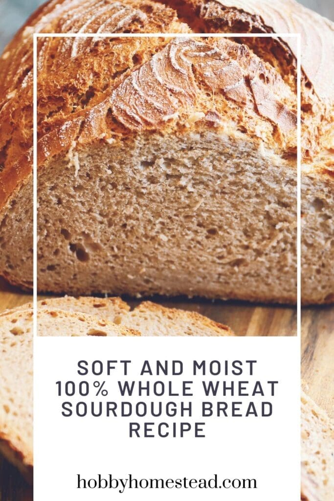 Soft and Moist 100% Whole Wheat Sourdough Bread Recipe