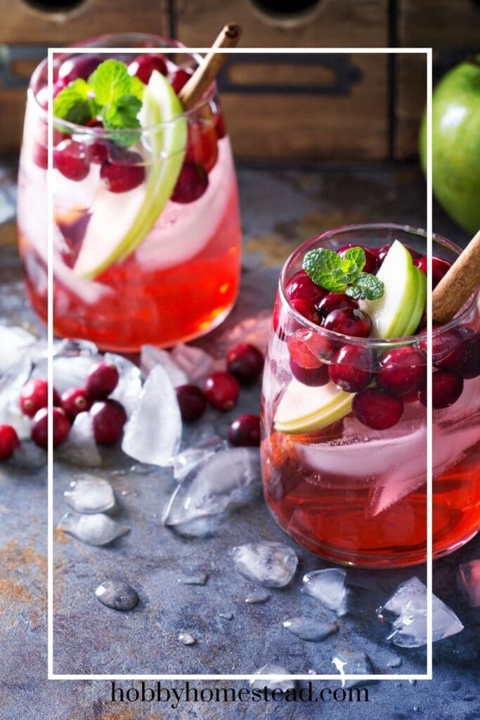 Cranberry Apple Mocktail