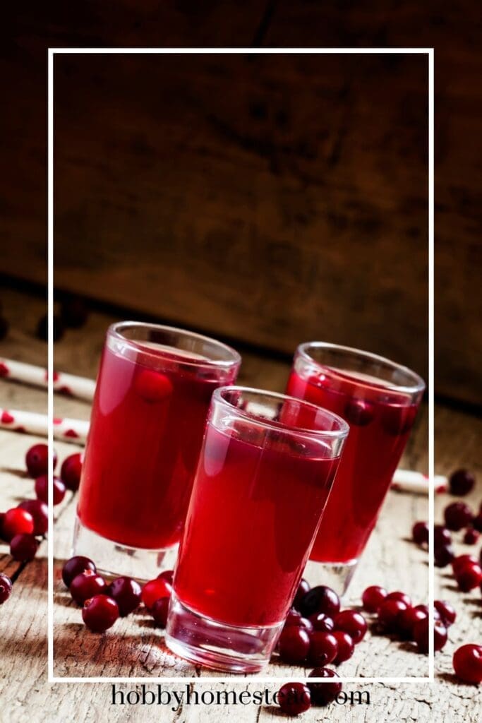 Cranberry Juice with Fresh Berries