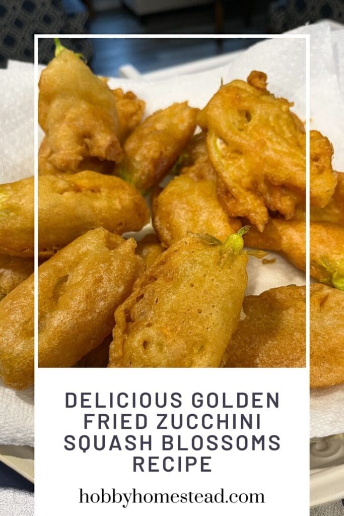 Delicious Golden Fried Zucchini Squash Blossoms Recipe