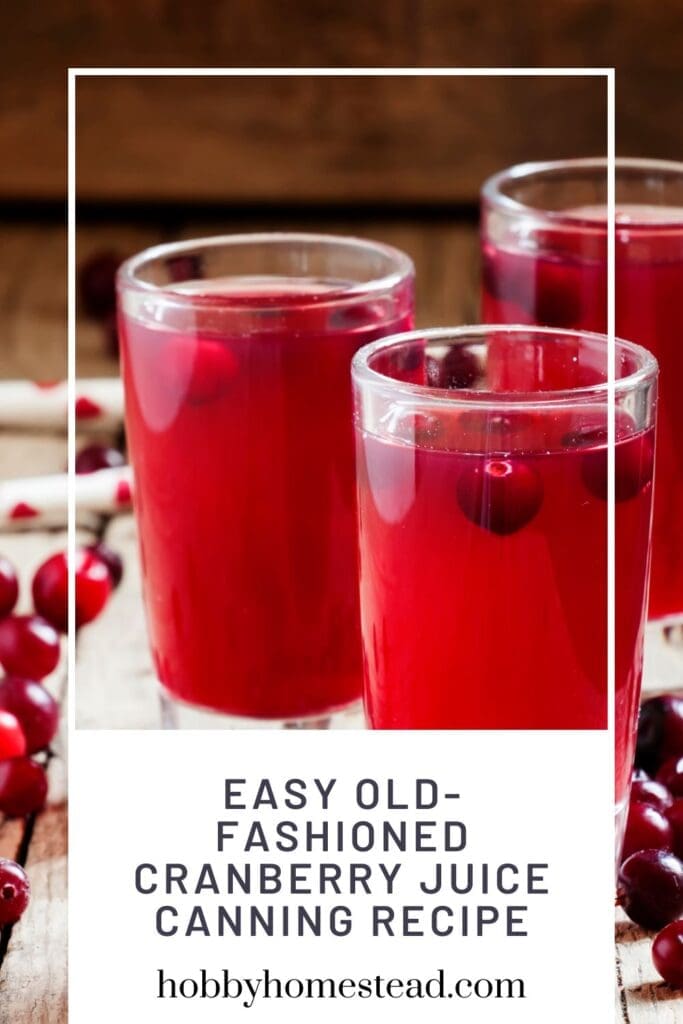 Easy Old-Fashioned Cranberry Juice Canning Recipe
