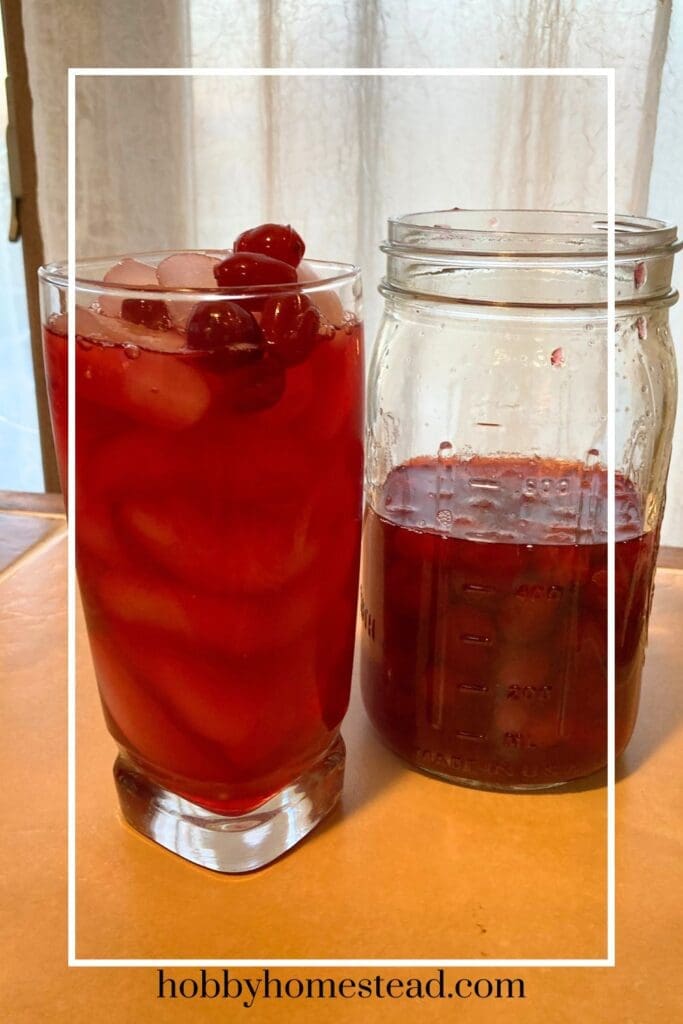 Enjoying a Glass of Homemade Cranberry Juice