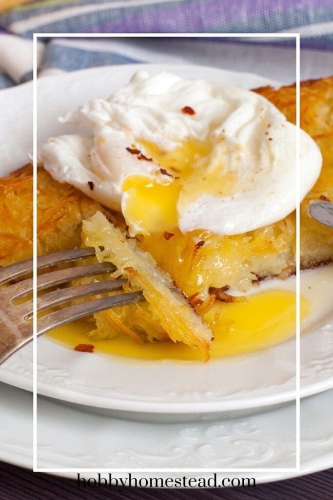 Enjoying a Simple Poached Egg with Toast