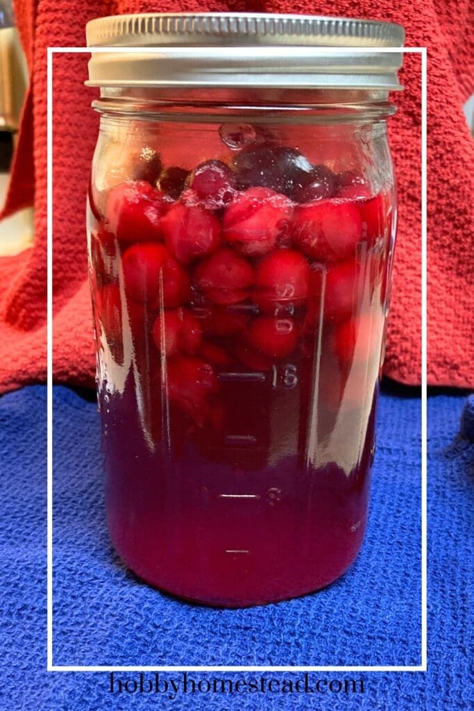 Homemade Cranberry Juice