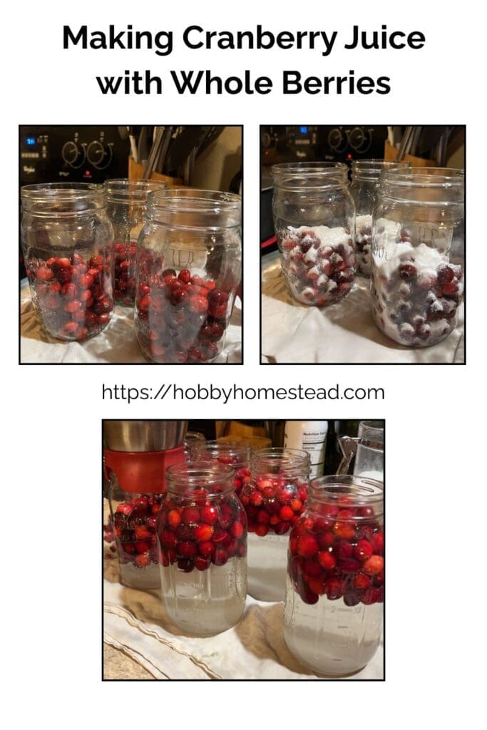 Making Cranberry Juice with Whole Berries