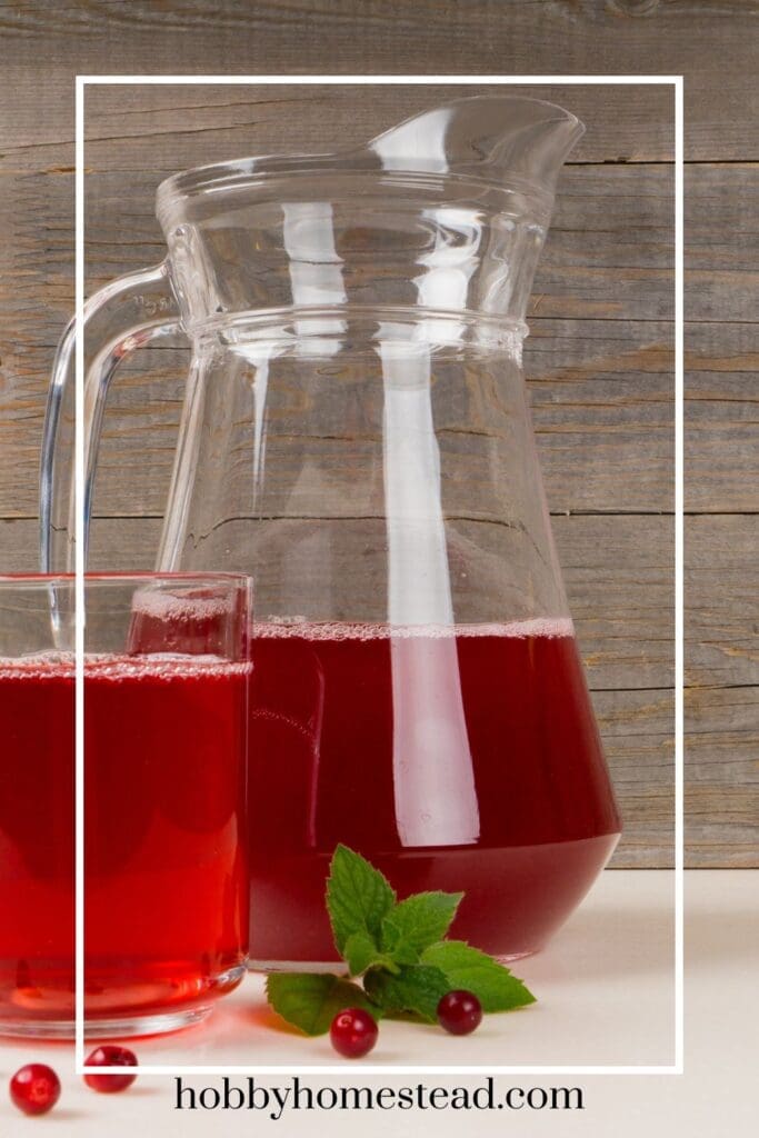Pitcher of Homemade Cranberry Juice