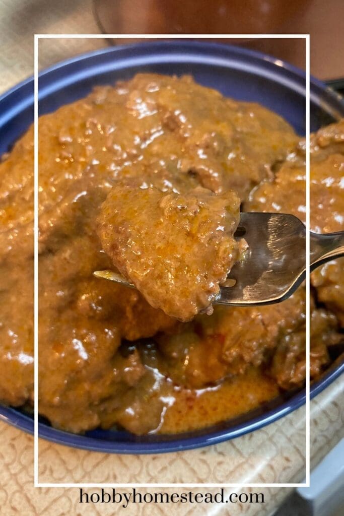 Serving Bowl of form tender cube steak and gravy