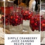 Simple Cranberry Juice Canning Recipe for Beginner