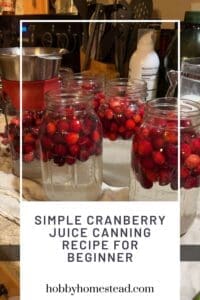 Simple Cranberry Juice Canning Recipe for Beginner