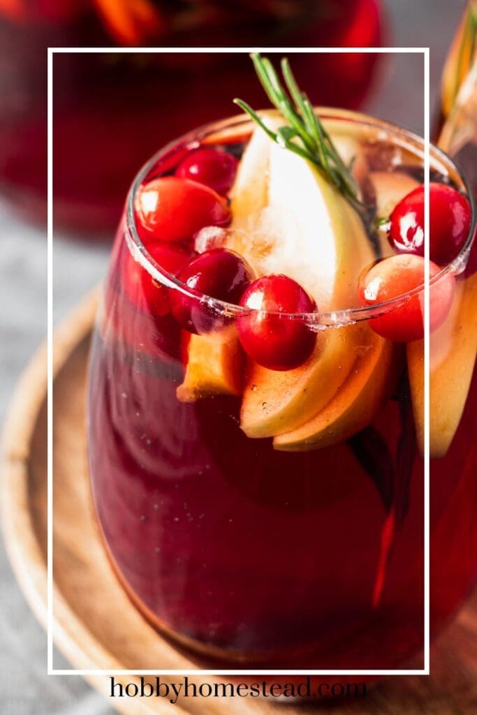 Simple Cranberry Refresher with Garnishes