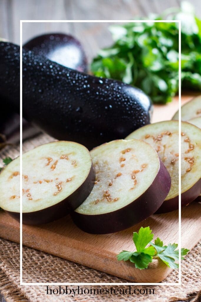 Sliced Eggplant