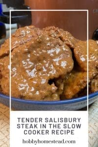 Tender Salisbury Steak in the Slow Cooker Recipe
