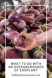 What to Do with an Overabundance of Eggplant