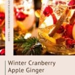 Winter Cranberry Apple Ginger Refresher A Cozy Homemade Drink