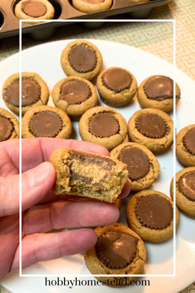 Delicious Holiday Peanut Butter Cookies