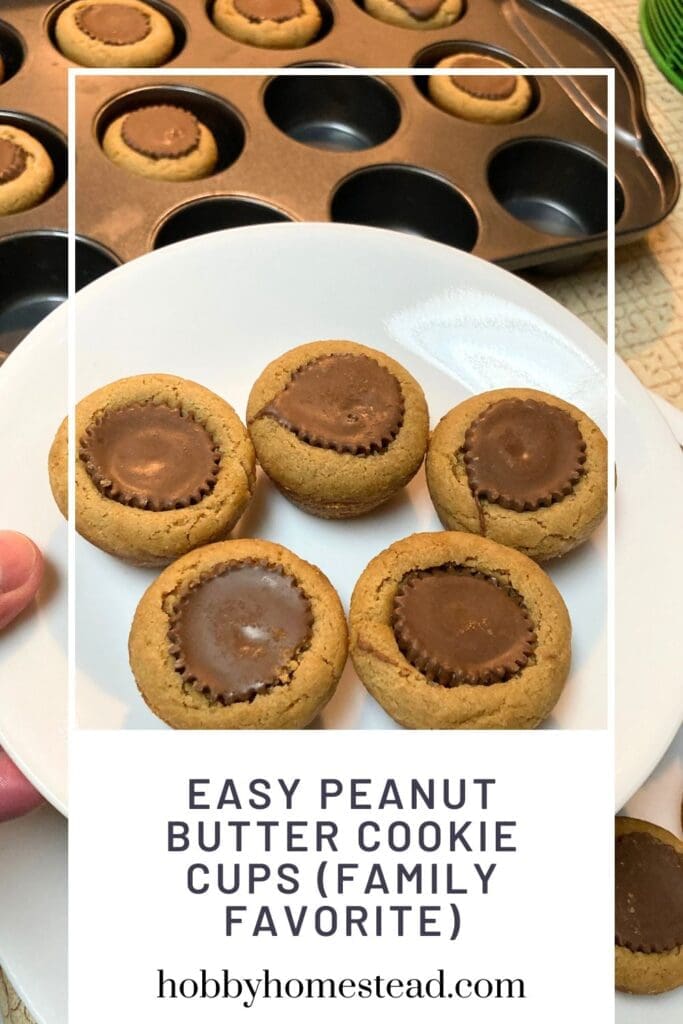 Easy Peanut Butter Cookie Cups (Family Favorite)