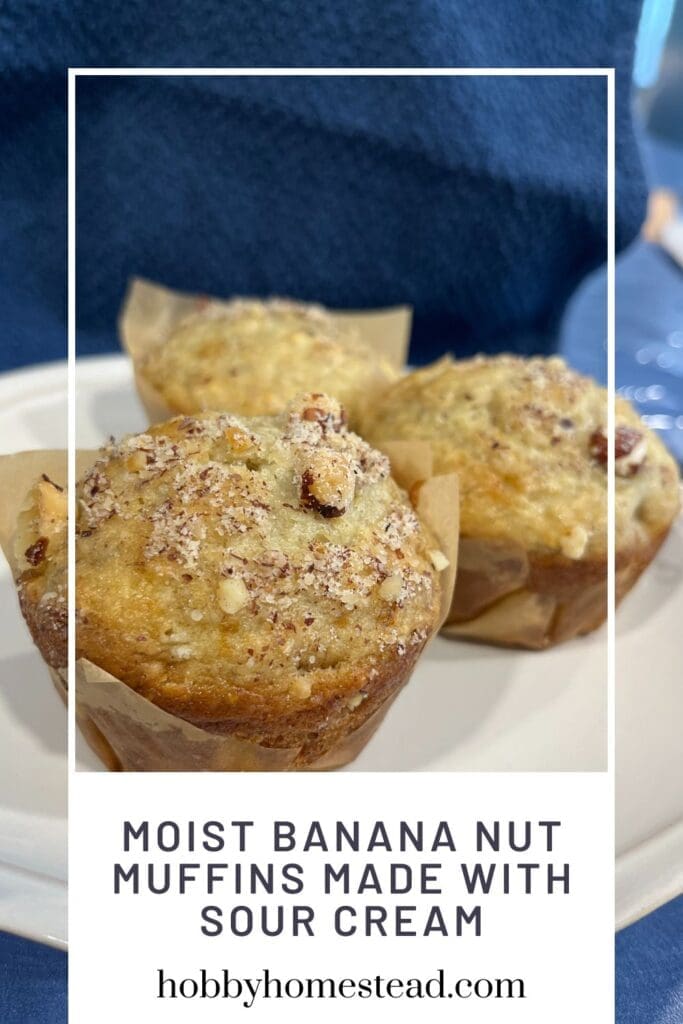 Moist Banana Nut Muffins Made with Sour Cream