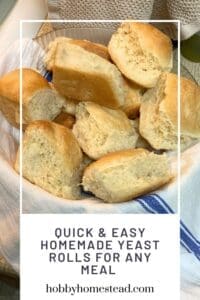 Quick & Easy Homemade Yeast Rolls for Any Meal