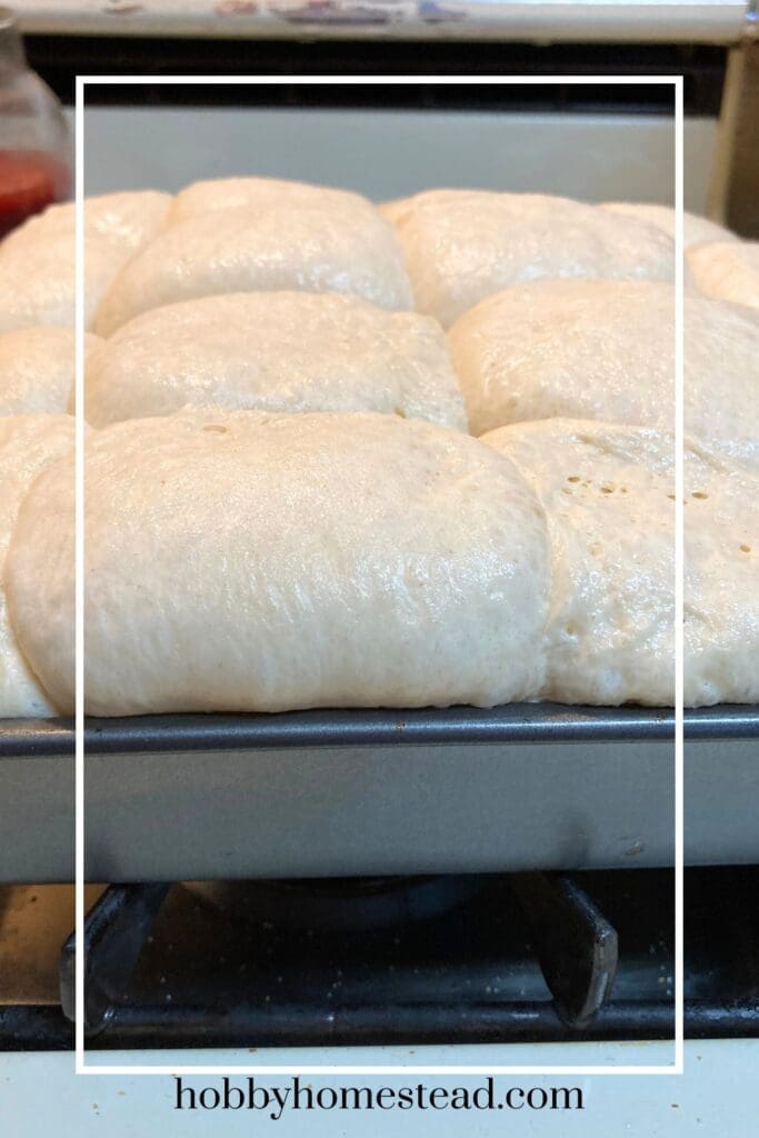 Risen yeast rolls ready for baking