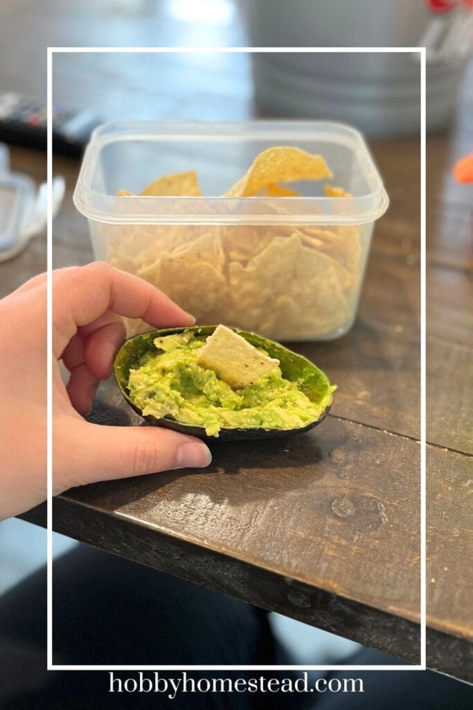 snacking on guacamole served in the shell