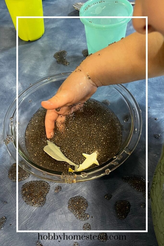 Adding Small Toys to Chia Goop