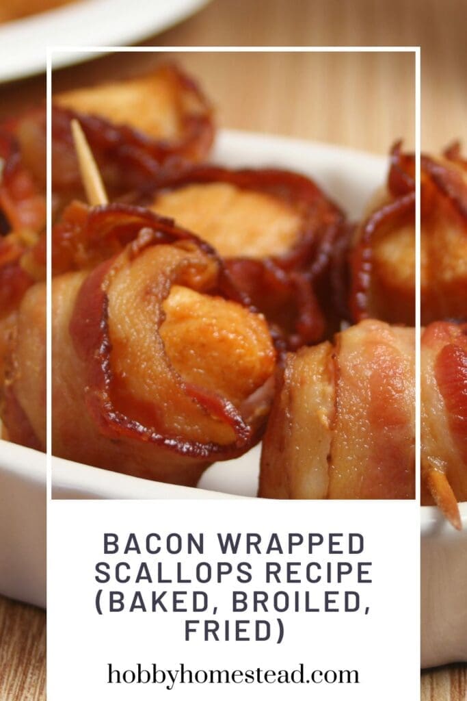 Bacon Wrapped Scallops Recipe (Baked, Broiled, Fried)