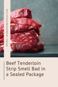 Beef Tenderloin Strip Smell Bad in a Sealed Package
