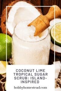 Coconut Lime Tropical Sugar Scrub Island-Inspired