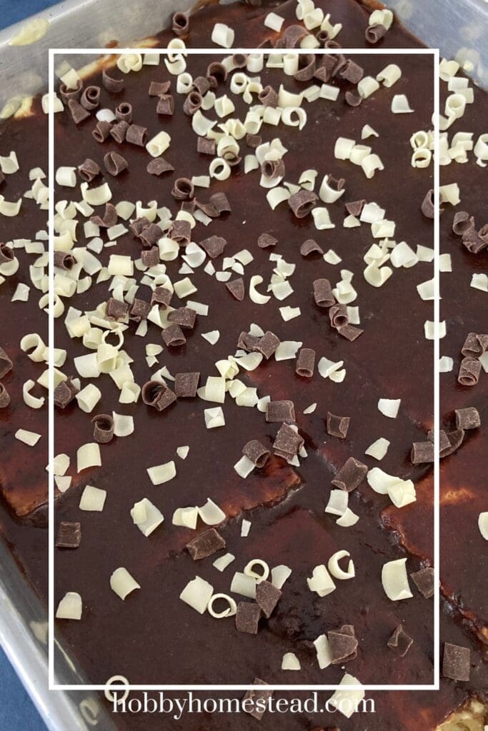 Easy Layered Chocolate and Pudding Dessert