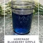 Homemade Blueberry Simple Syrup Recipe (Quick & Easy!)