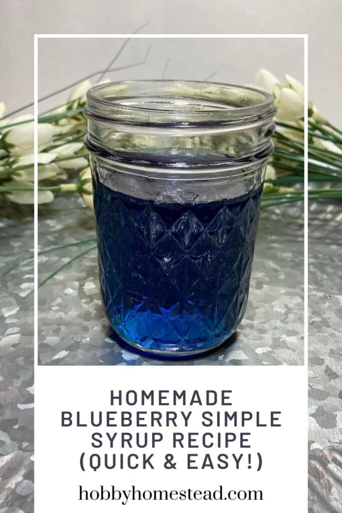 Homemade Blueberry Simple Syrup Recipe (Quick & Easy!)