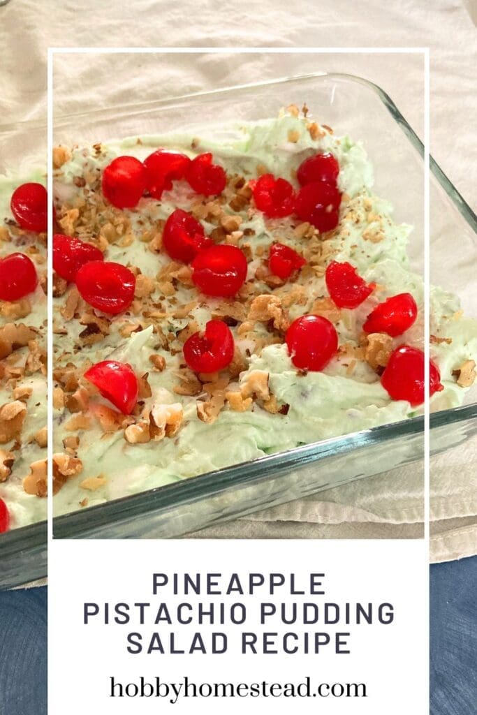 Pineapple Pistachio Pudding Salad Recipe