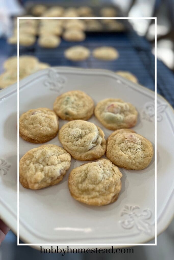 Plate of gumdrop cookies