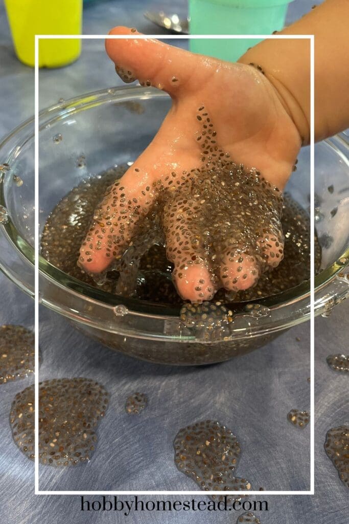 Sensory Play with Chia Seed Slime