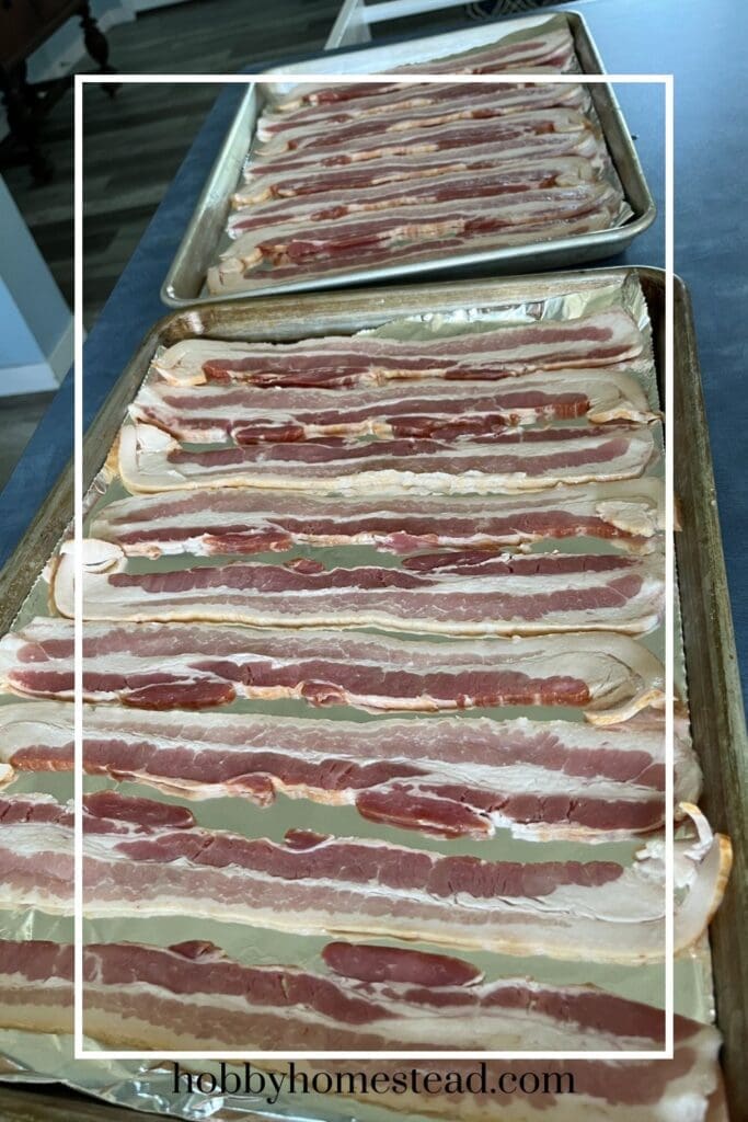 Two trays of bacon ready for the oven