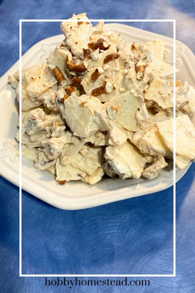 apple and peanut butter snack dessert