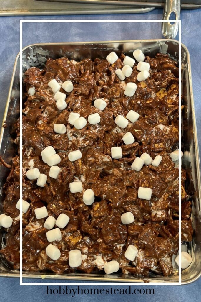 pan of S'mores Bars with mini marshmallows on top