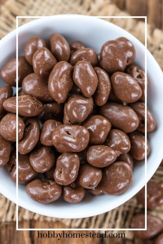 Bowl of chocolate Covered Raisins