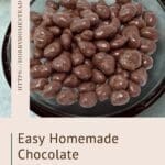 Easy Homemade Chocolate Covered Raisins Recipe