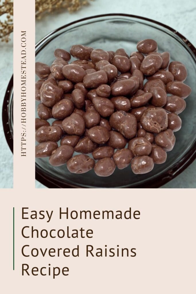 Easy Homemade Chocolate Covered Raisins Recipe
