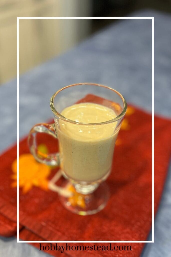 Glass of delicious homemade eggnog