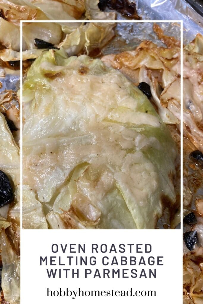 Oven Roasted Melting Cabbage with Parmesan