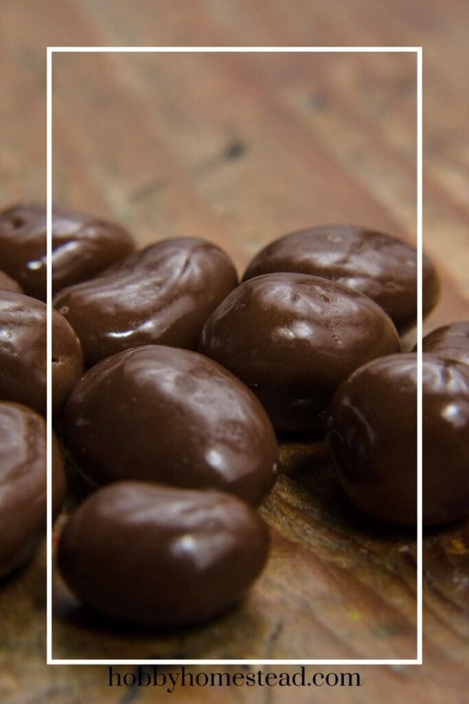 homemade chocolate raisins