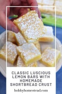 Classic Luscious Lemon Bars with Homemade Shortbread Crust
