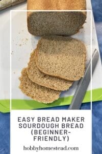 Easy Bread Maker Sourdough Bread (Beginner-Friendly)
