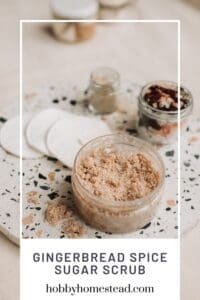 Gingerbread Spice Sugar Scrub