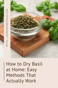 How to Dry Basil at Home Easy Methods That Actually Work