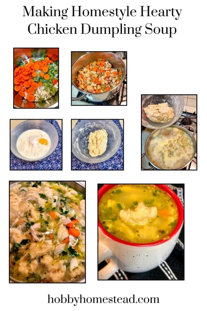 Making Homestyle Hearty Chicken Dumpling Soup